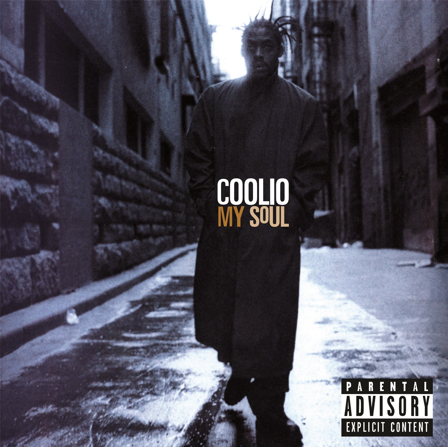My Soul - 25th Anniversary