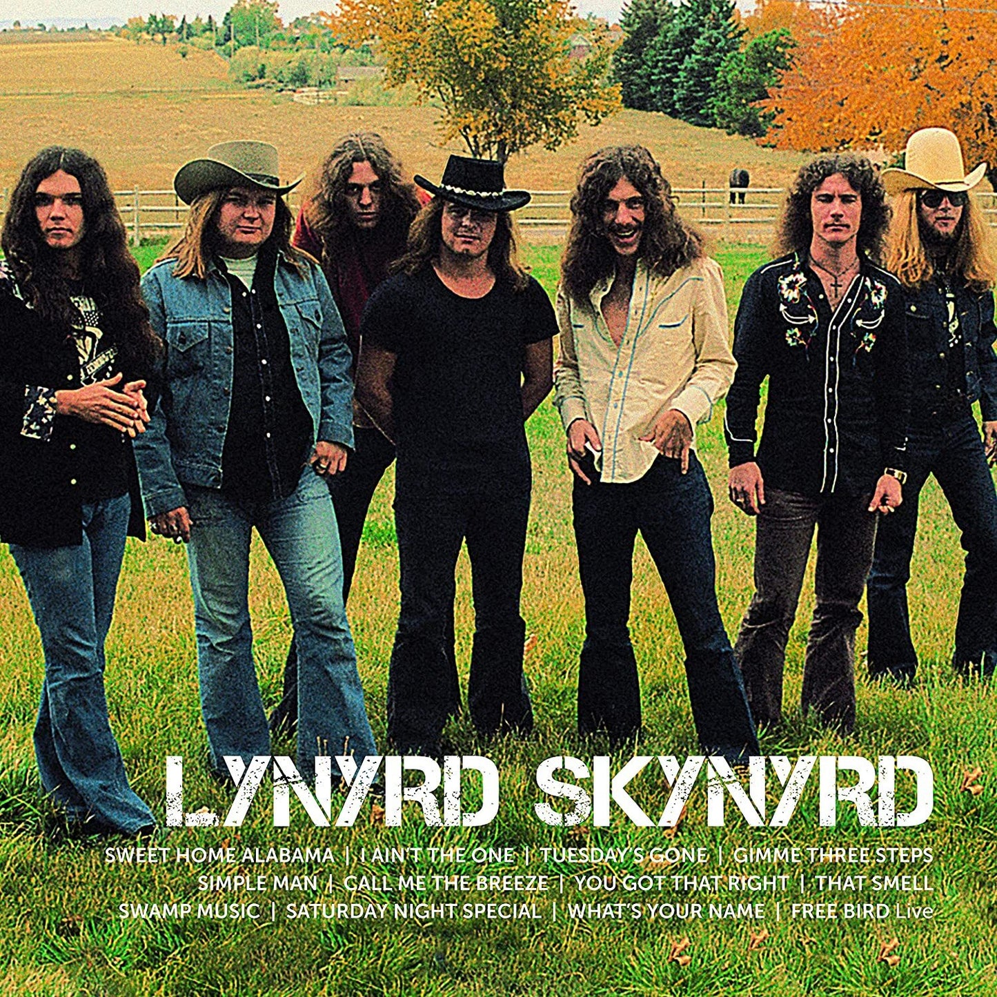 Lynyrd Skynyrd — Icon