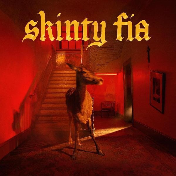 Fontaines D.C. — Skinty Fia