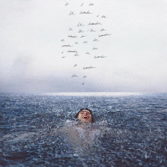 Shawn Mendes — Wonder