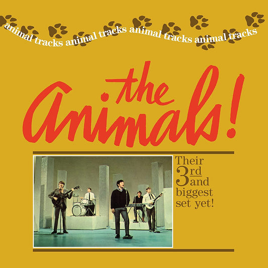 Animals — Animal Tracks