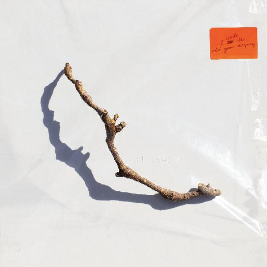 Pj Harvey — I Inside The Old Year Dying