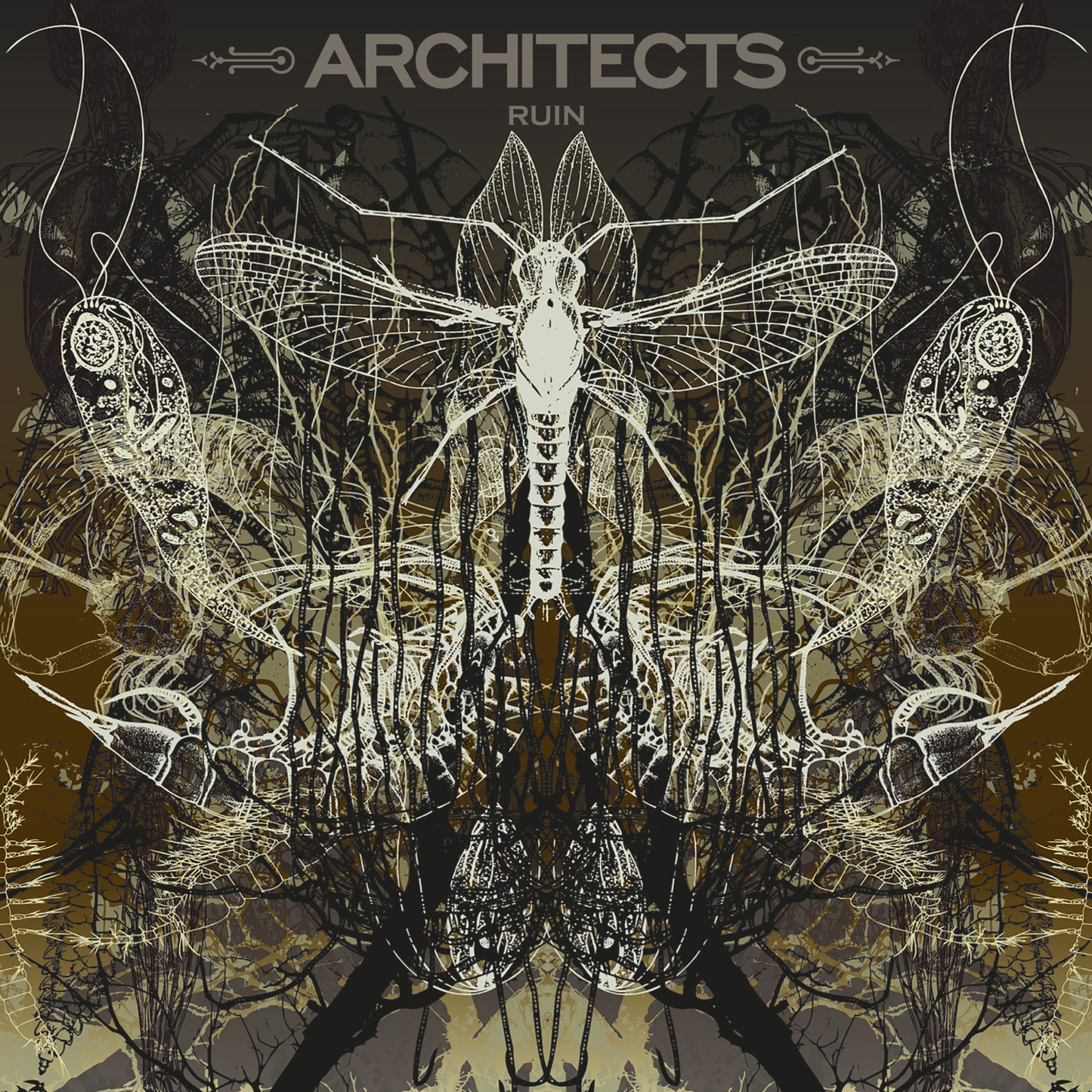 Architects — Ruin — Édition Limitée