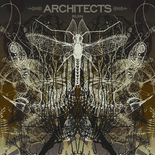 Architects — Ruin — Édition Limitée